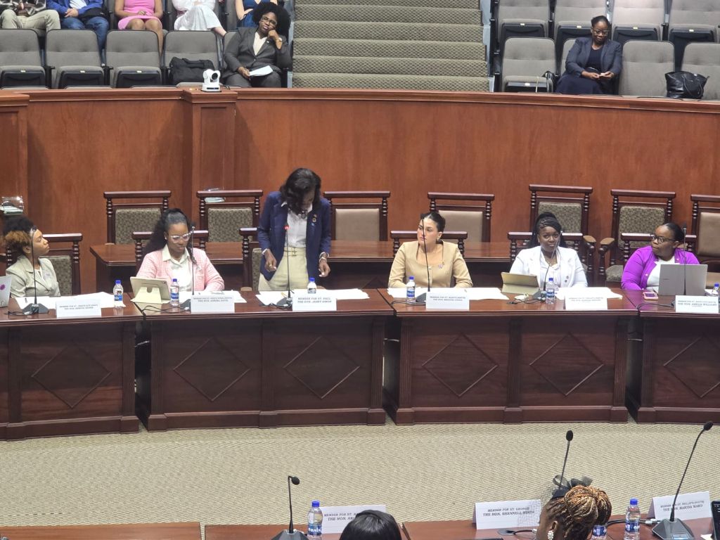 YWiL AB members seated at the parliament panel bench with women MPs