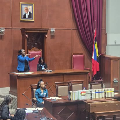 YWiL AB member debating at the parliamentary podium